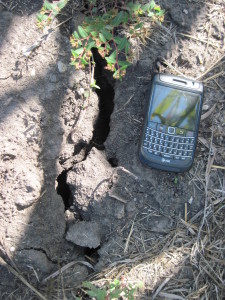 Crack due to dryness
