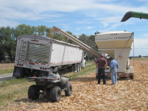 Neil and Leonard calibrating yield monitor for corn