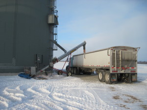 Loading a corn truck
